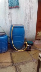 Sky n plants at home