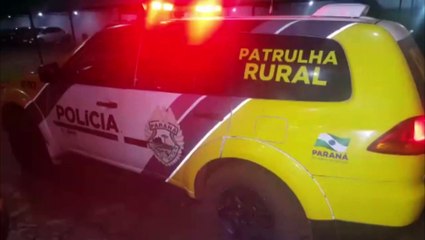 Download Video: Patrulha Rural apreende 270.4 kg de maconha na BR-277, em Cascavel