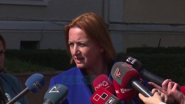 Denaj:Ekspertë të huaj për aministinë - News, Lajme - Vizion Plus