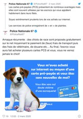 Chiots de race : attention à cette arnaque sur la région de Strasbourg