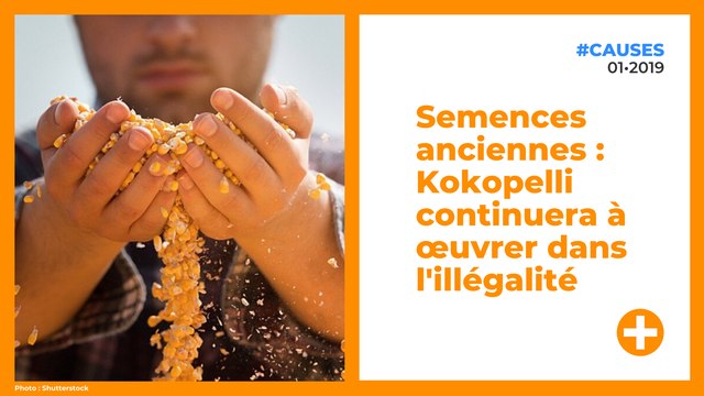 Semences anciennes : Kokopelli continuera à œuvrer dans l'illégalité