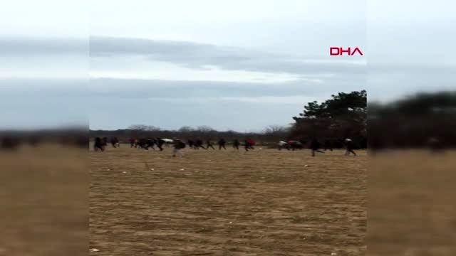 Edirne yunan güvenlik güçleri, sınırı geçmek isteyen göçmenlerin üzerine ateş açtı