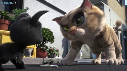 فيلم القطة السوداء الجزء الاول مترجم HD