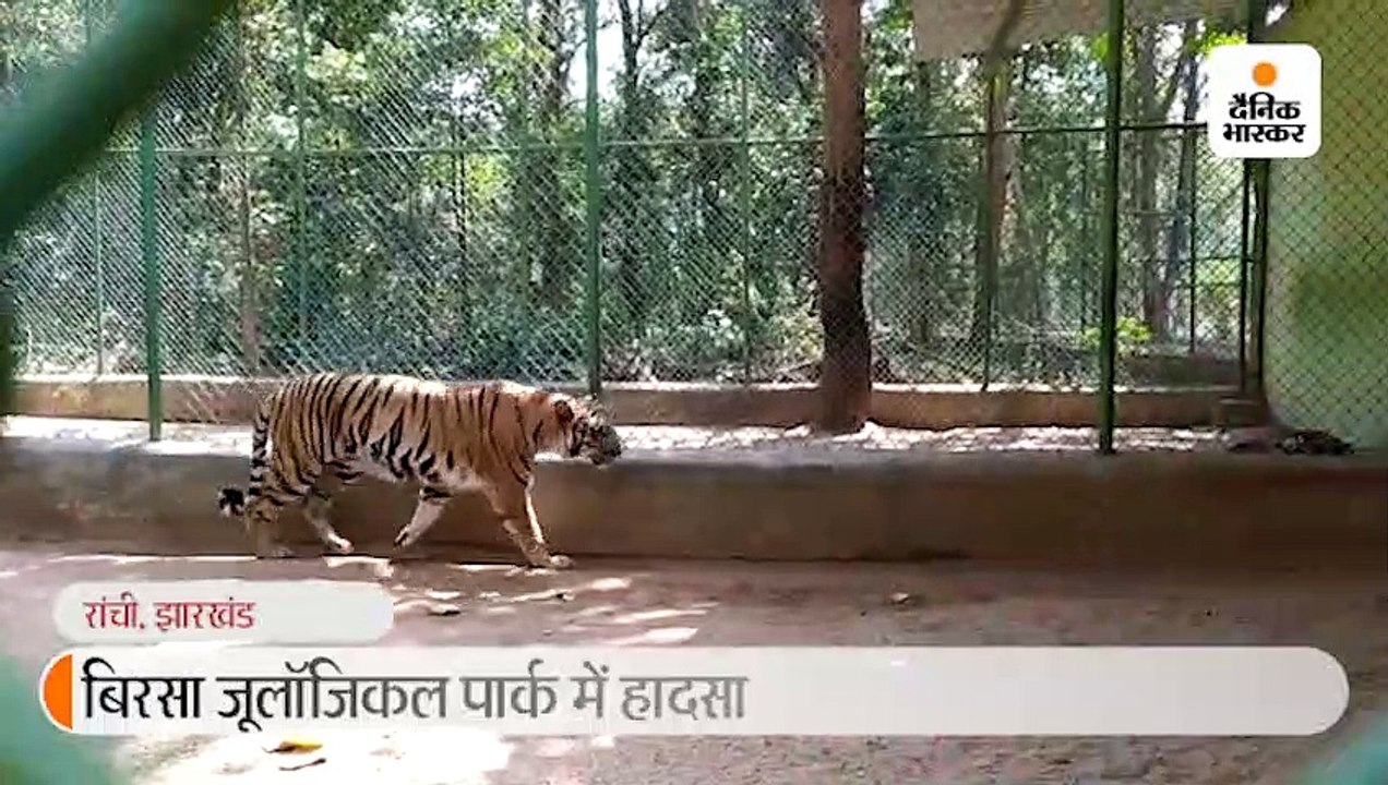 जूलॉजिकल पार्क में बाड़े में गिरा युवक, गर्दन पर...