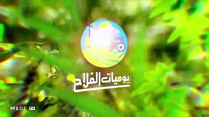 يوميات الفلاح - 04/03/2020