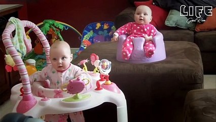 Funny And Cute Animals will make you so Much Loved | Watch Funniest Video Clip | Cute twin Babies Compilation