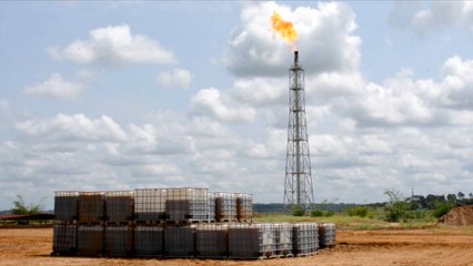 Republic of Congo oil drilling threatens environment: Activists