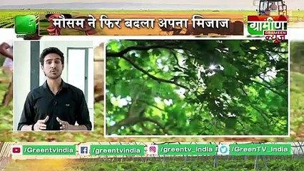 Kisan Bulletin : छत्तीसगढ़ सरकार ने पेश किया अपना दूसरा बजट, 2500 रूपये प्रति क्विंटल तय हुआ धान का MSP | Grameen News