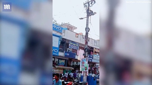 Un singe réconforté par son ami après avoir été piégé sur un poteau électrique