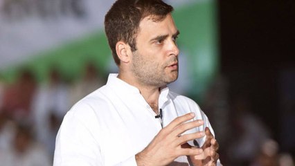 Rahul Gandhi to visit violence-hit areas of Delhi