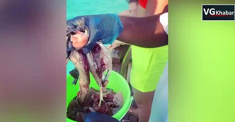 उर्वशी रौतेला मालदीव्स में समुद्र किनारे