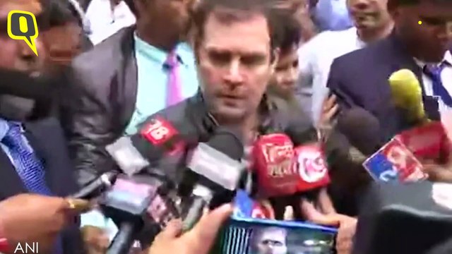 Violence Only Harms People, ‘Bharat Mata’: Rahul Gandhi During Visit to Riot-Hit NE Delhi