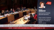 Lubrizol : Elisabeth Borne auditionnée  - Les matins du Sénat (27/02/2020)