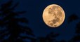 La « pleine lune du ver », première « super lune » de l'année, aura lieu le 9 mars marquant ainsi l'arrivée du printemps