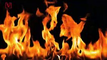 Man Burns Down Building While Attempting to Kill a Snake