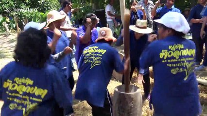 Thai locals hold unusual rice beating competition