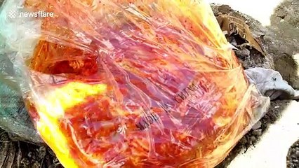 Philippines authorities seize smuggled meat from African swine fever 'red area'