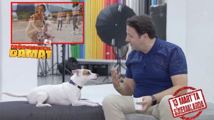 Müstakbel Damat Teaser