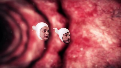 microYAPA: Espermas Perdidos II