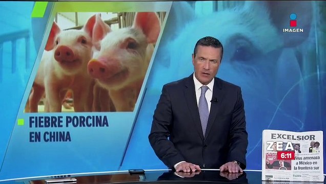 Exportaciones de carne de cerdo podrían aumentar en México