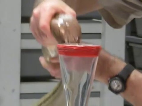 Extraction du venin d'un cobra royal : impressionnant