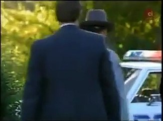 Z akt FBI - Niebezpieczny Pościg, serial dokumentalny