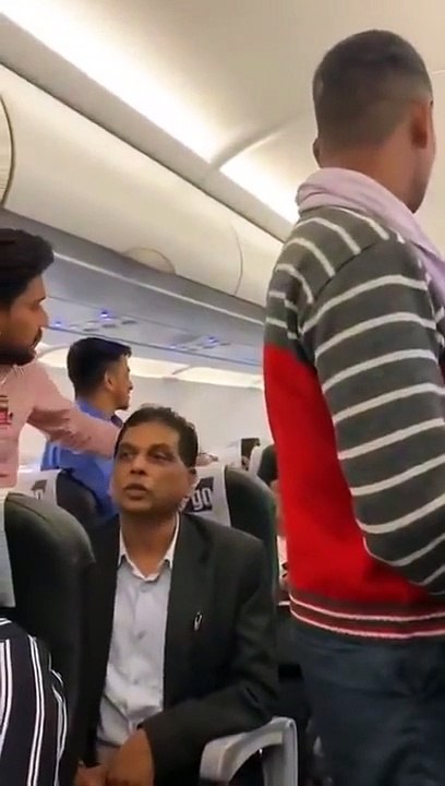 Des pigeons volent dans l'avion avant le décollage !