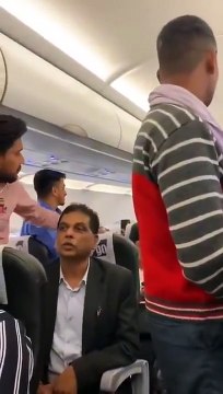 Des pigeons volent dans l'avion avant le décollage !