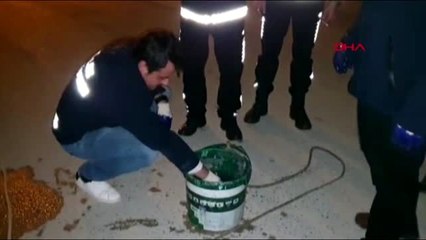 Karsak deresi'ni kirleten iki firmaya toplam 888 bin lira ceza