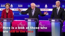 Who Are All The Remaining Democratic Candidates Running For President In 2020?