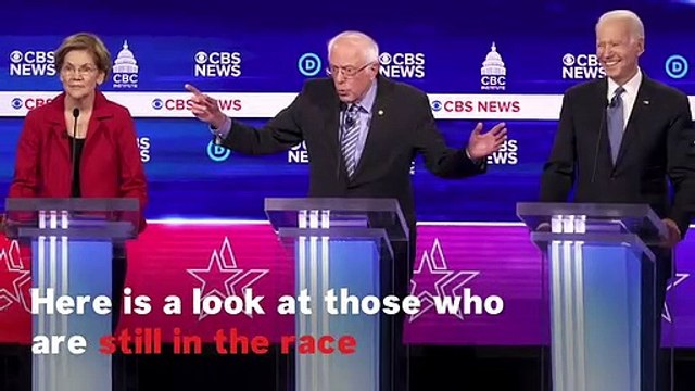 Who Are All The Remaining Democratic Candidates Running For President In 2020?