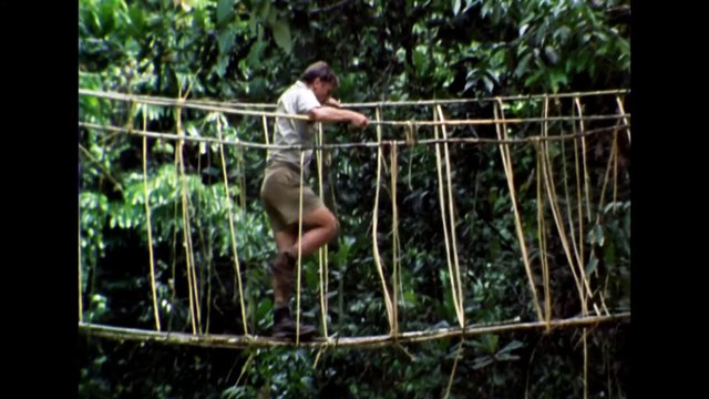 DAVID ATTENBOROUGH A LIFE ON OUR PLANET