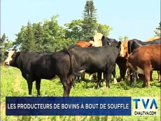 TVA Nouvelles 18h CHAU 4 mars 2020