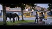 OSTWIND – DER GROSSE ORKAN - offizieller Trailer