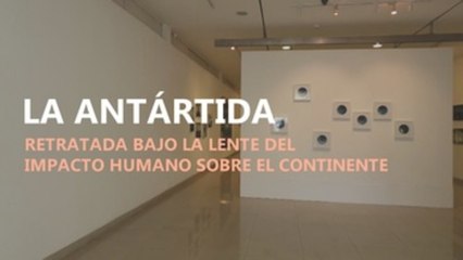 La Antártida retratada bajo la lente del impacto humano sobre el continente