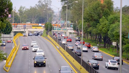 En largos caminos se conoce a los amigos