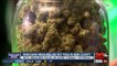 Local former pot shop owner responds to failure of marijuana measures