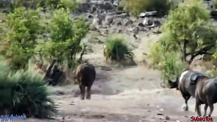 울산출장서비스 울산출장서비스010e4272e0978 {카톡SBS24} 울산출장마사지샵 울산출장안마on울산출장안마cos여3♪⇔∃마사지황형♥∱≪