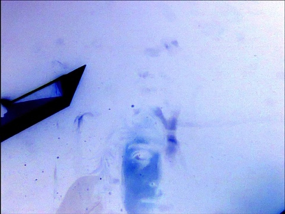Sortilège - Endless