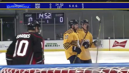 Game Recap - Brampton Beast at Norfolk Admirals