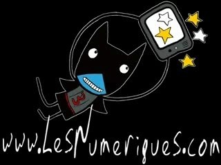 FM sur TomTom Go 920T