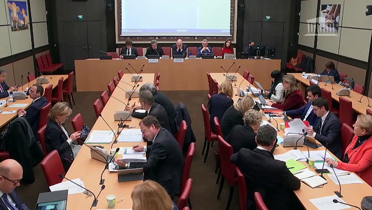 Commission des affaires économiques : Modernisation, développement et protection des territoires de montagne ; Effectivité du droit au logement (PPL) - Mercredi 4 mars 2020