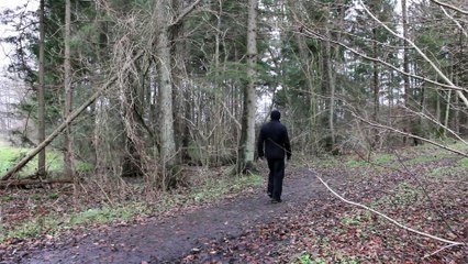 Der Bildhauer im Wald - Borstel-Hohenraden 2011 /Full Film/Complete Movie/Ganzer Film