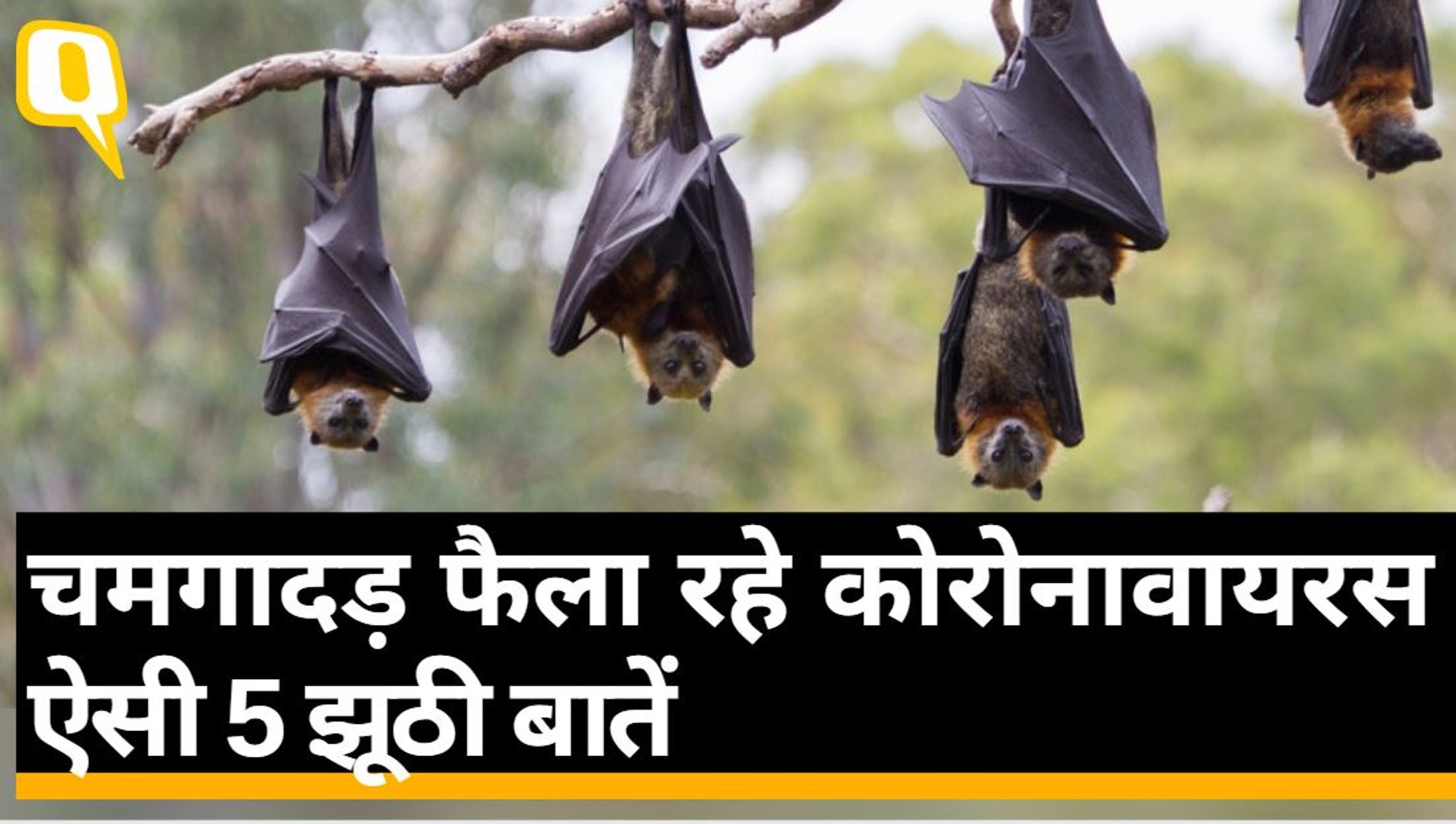 नए Coronavirus के बारे में हम क्या जानते हैं और क्या नहीं