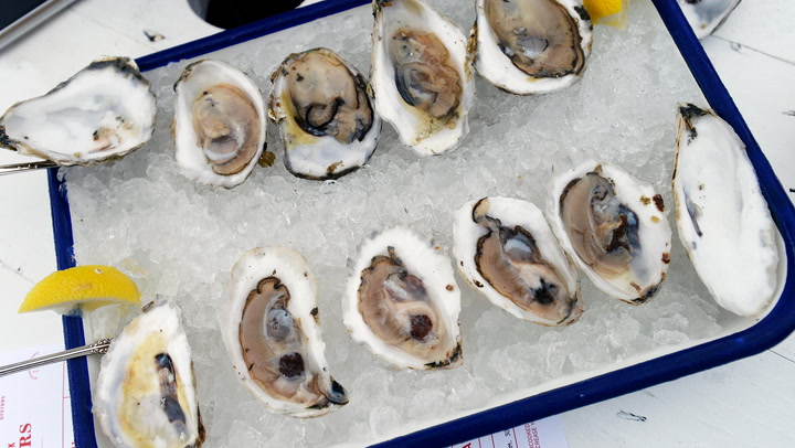 How oysters are farmed in Scotland’s lochs