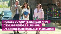 Kate Middleton élégante lors de son voyage en Irlande dans une robe vintage