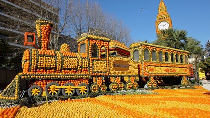 مدينة مونتون الفرنسية تحتفي بالبرتقال والليمون