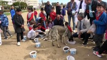 Sokak hayvanları için sahile yiyecek bıraktılar