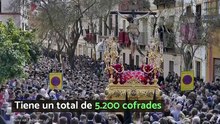 Top 10 Cofradías/Hermandades más numerosas de España
