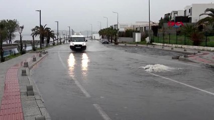 Muğla bodrum'da denizin rengi değişti